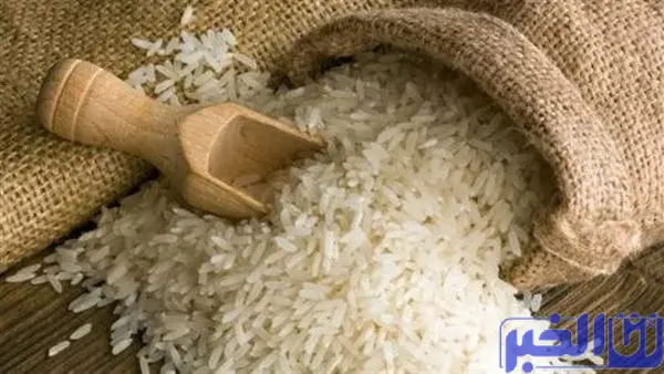 الهند تتجه إلى حظر تصدير الأرز بعد تدهور المحصول