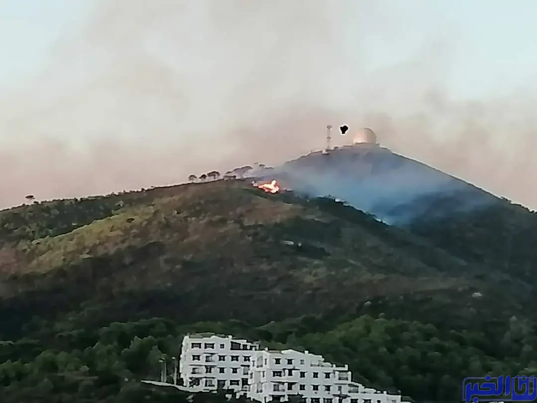 معطيات جديدة تهم المشتبه فيهم بالحريق المفتعل بغابة "كدية الطيفور"