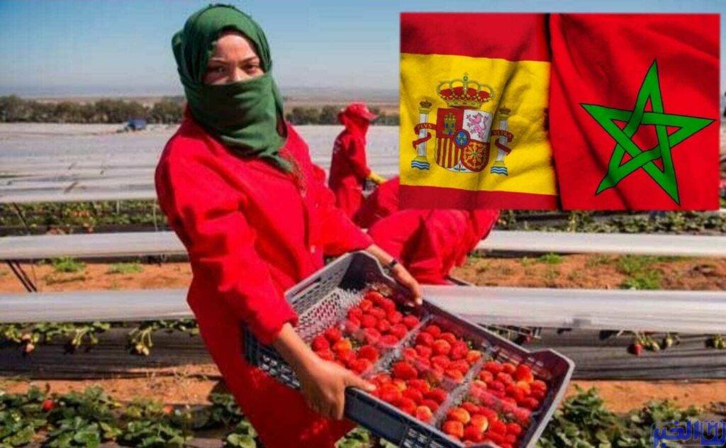 إسبانيا تقرر الرفع من عدد اليد العاملة المغربية.. في حاجة إلى 14 ألف شخص