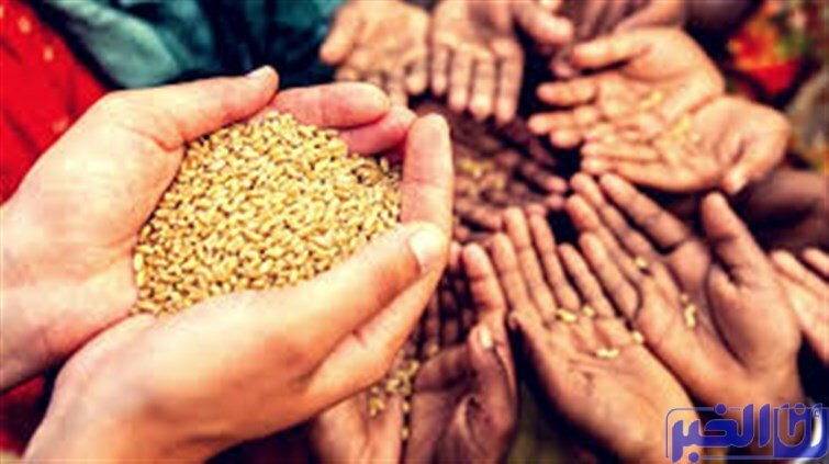 الأمم المتحدة تحذر من مجاعة وشيكة في هذه الدولة العربية