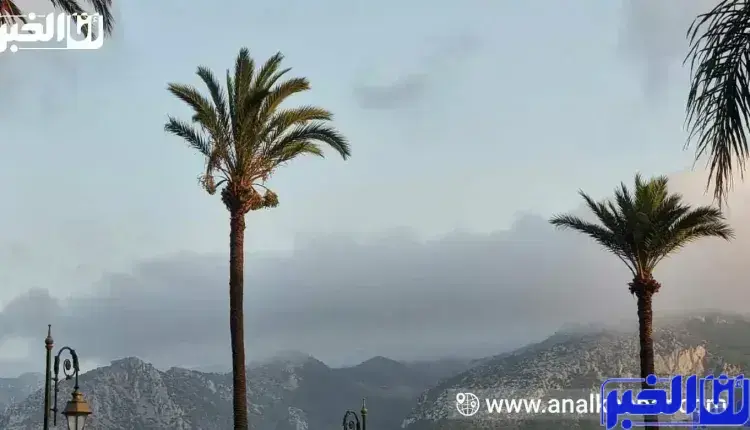 طقس بالمغرب غدا الجمعة.. قطرات مطرية وبروز رعد محلي