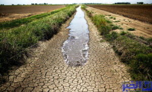 الكينوا.. زراعة جديدة بالمغرب مقاومة للجفاف