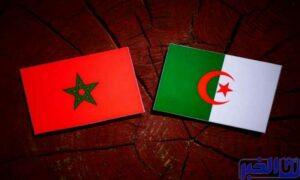 هام.. على النظام الجزائري أن يغيّر النظّارات