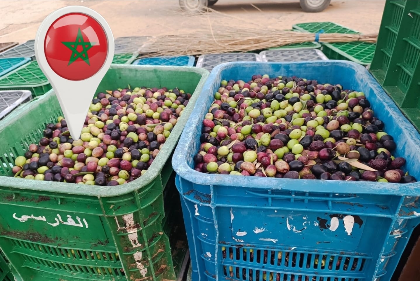 توقع ارتفاع أثمنة زيت الزيتون إلى 100 درهم للتر