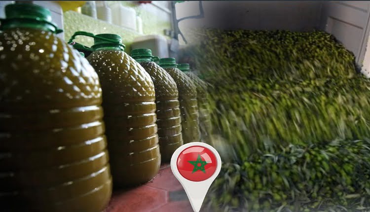 سعر اللتر من الزيت وصل إلى أكثر من 60 درهما بثمن الجملة