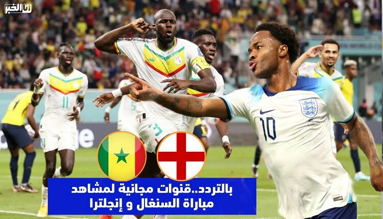 مباراة السنغال و إنجلترا
