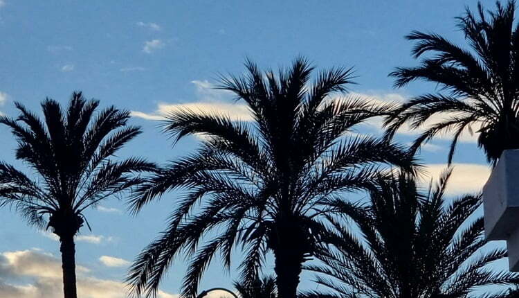 درجات الحرارة بالمغرب