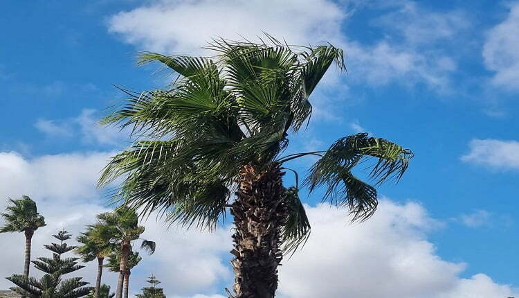 درجات الحرارة بالمغرب
