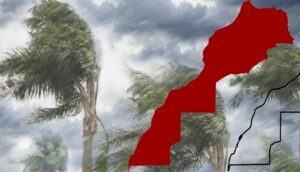 نشرة إنذارية
