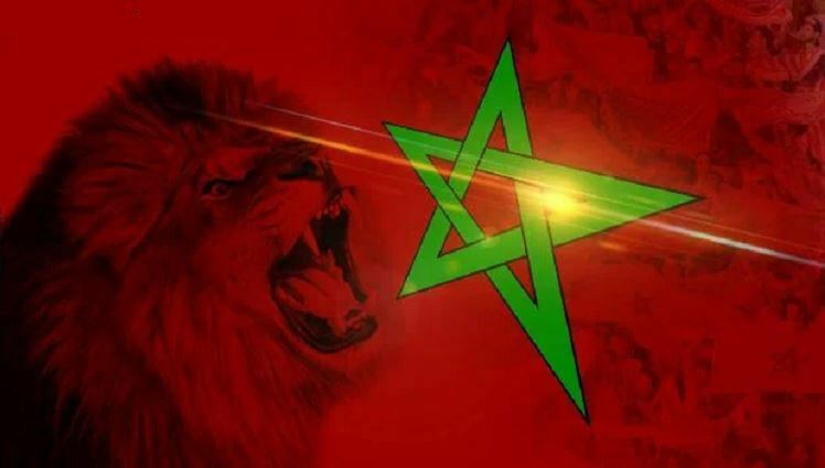 وزير الثقافة المغربي الأسد مغربي