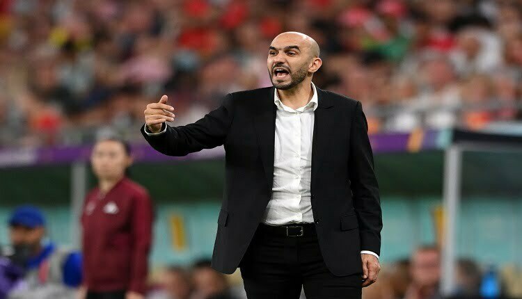 وليد الركراكي