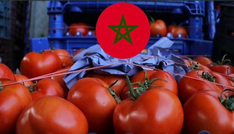 وزارة الفلاحة