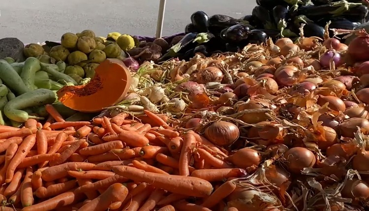 أسعار الخضر.. البصل والطماطم
