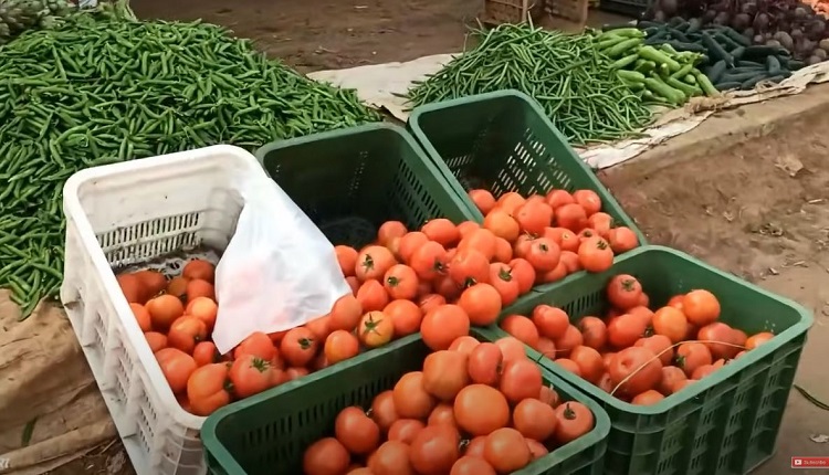 أسعار الخضروات