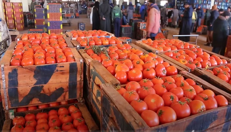 أسعار بيع الخضر