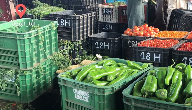 أسعار بيع الخضر بالتقسيط