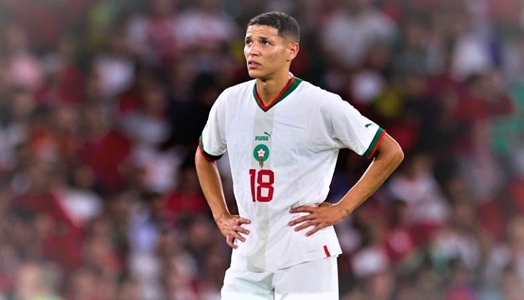 أمين حارث