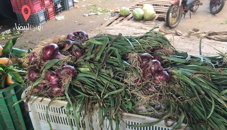 البصل 17 درهم.. أسعار بيع الخضر بالتقسيط اليوم حسب العمالات