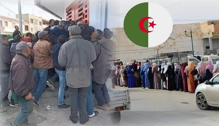 طوابير العار تعود للجزائر