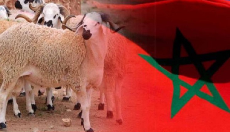 عيد الأضحى