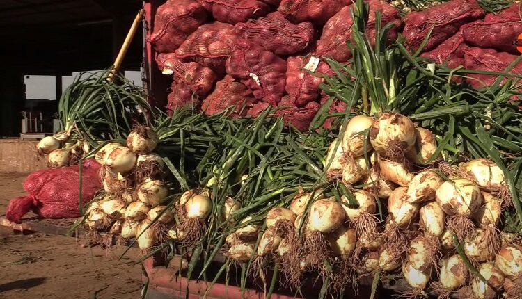 لائحة أسعار بيع الخضر