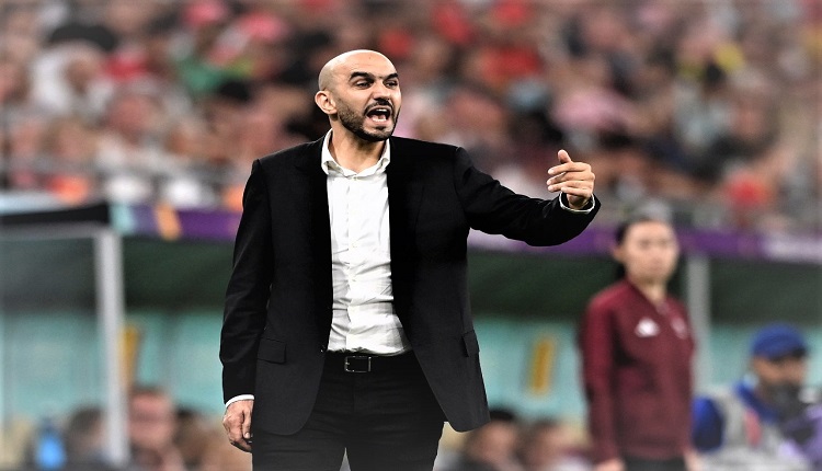 وليد الركراكي