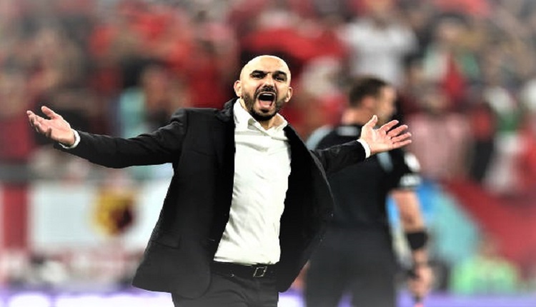 وليد الركراكي
