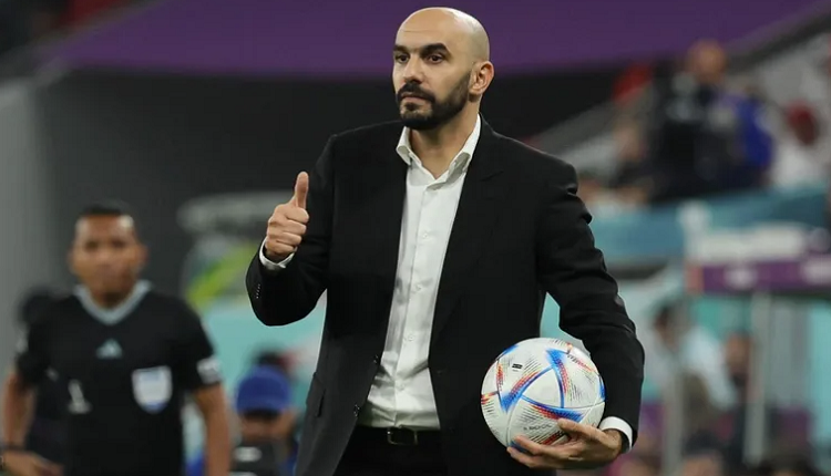 وليد الركراكي