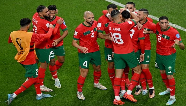 أسود الأطلس