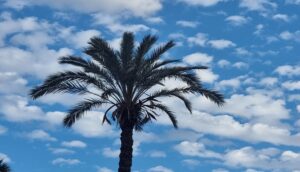 درجات الحرارة بالمغرب