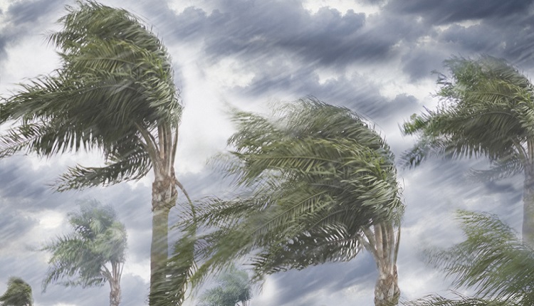 نشرة انذارية رياح قوية