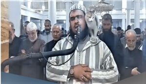 واقعة الإمام و القطة الجزائرية