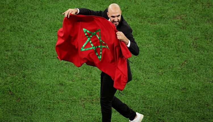 وليد الركراكي