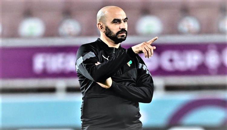 وليد الركراكي مدرب المغرب