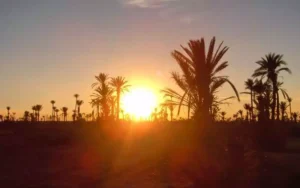 حرارة مرتفعة