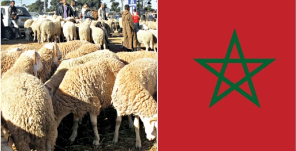 عيد الأضحى بالمغرب