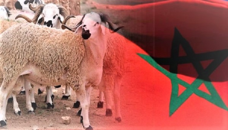 عيد الأضحى بالمغرب