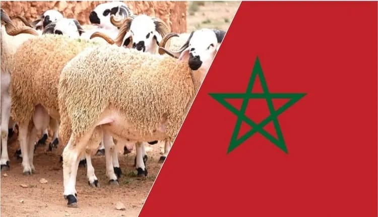 عيد الأضحى