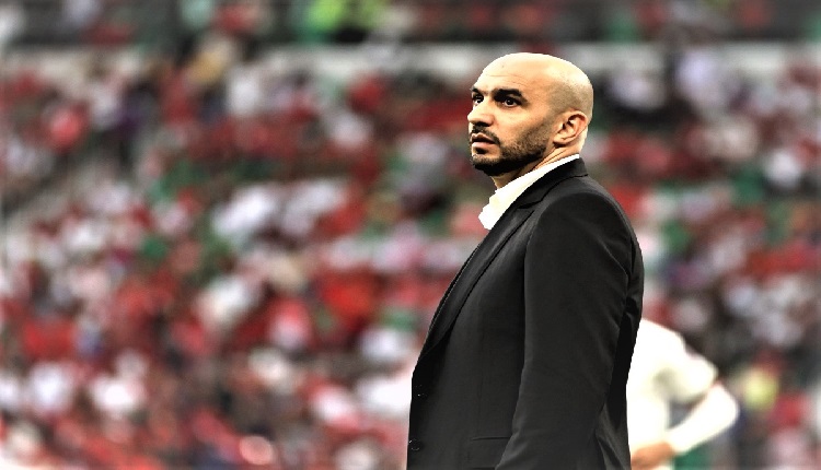 وليد الركراكي