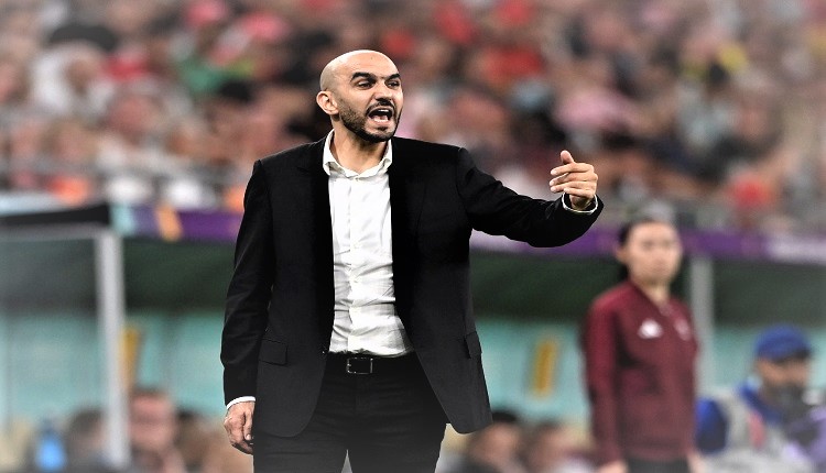 وليد الركراكي