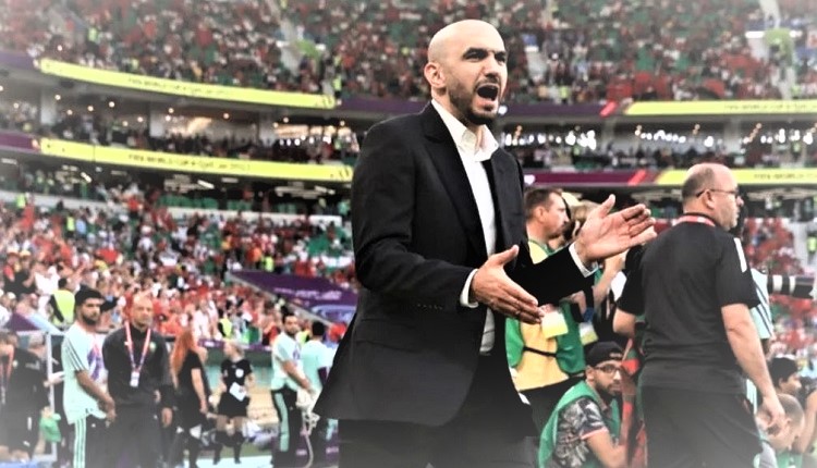 وليد الركراكي