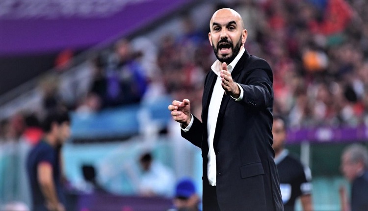 وليد الركراكي