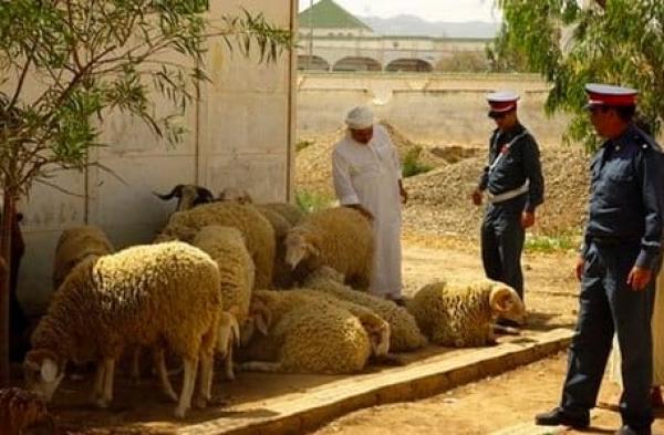 آسفي