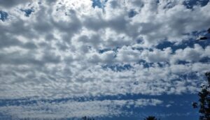 درجات الحرارة بالمغرب
