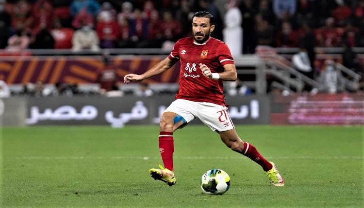 علي معلول
