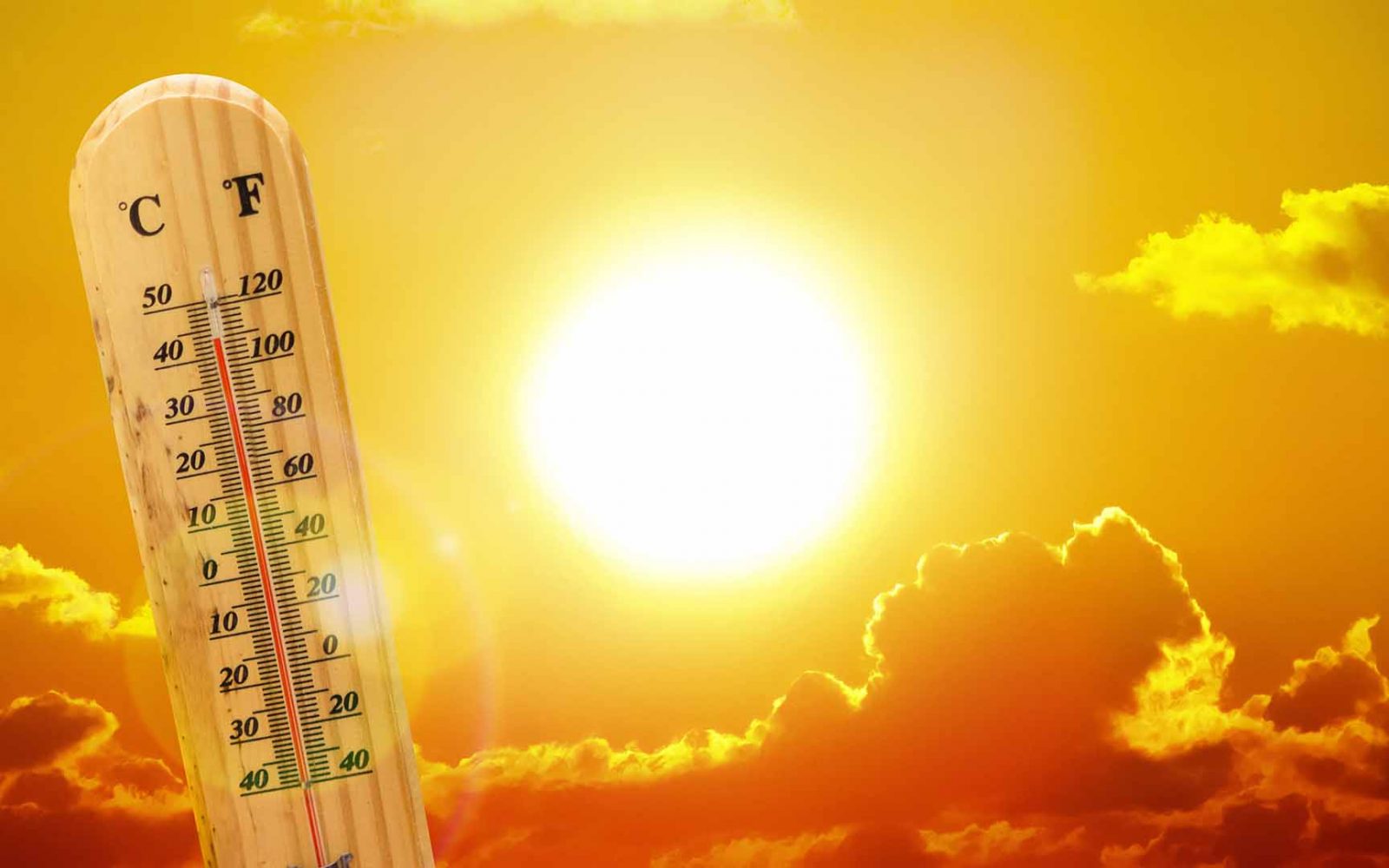 نشرة إنذارية