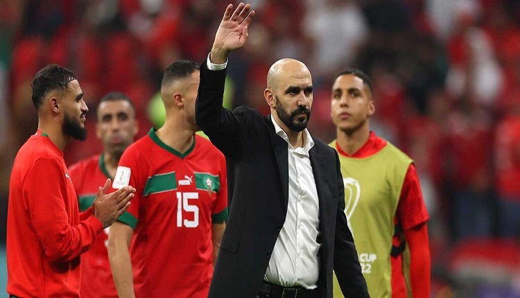 وليد الركراكي