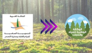 بني ملال-خنيفرة.. افتتاح موسم قنص طائر اليمام يوم غد السبت