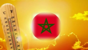 درجات الحرارة تعود للارتفاع غدا