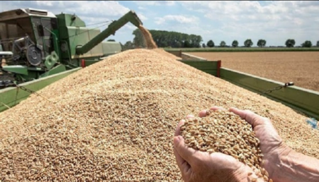 روسيا تعلن عن قرار جديد بخصوص تصدير الحبوب الأوكرانية